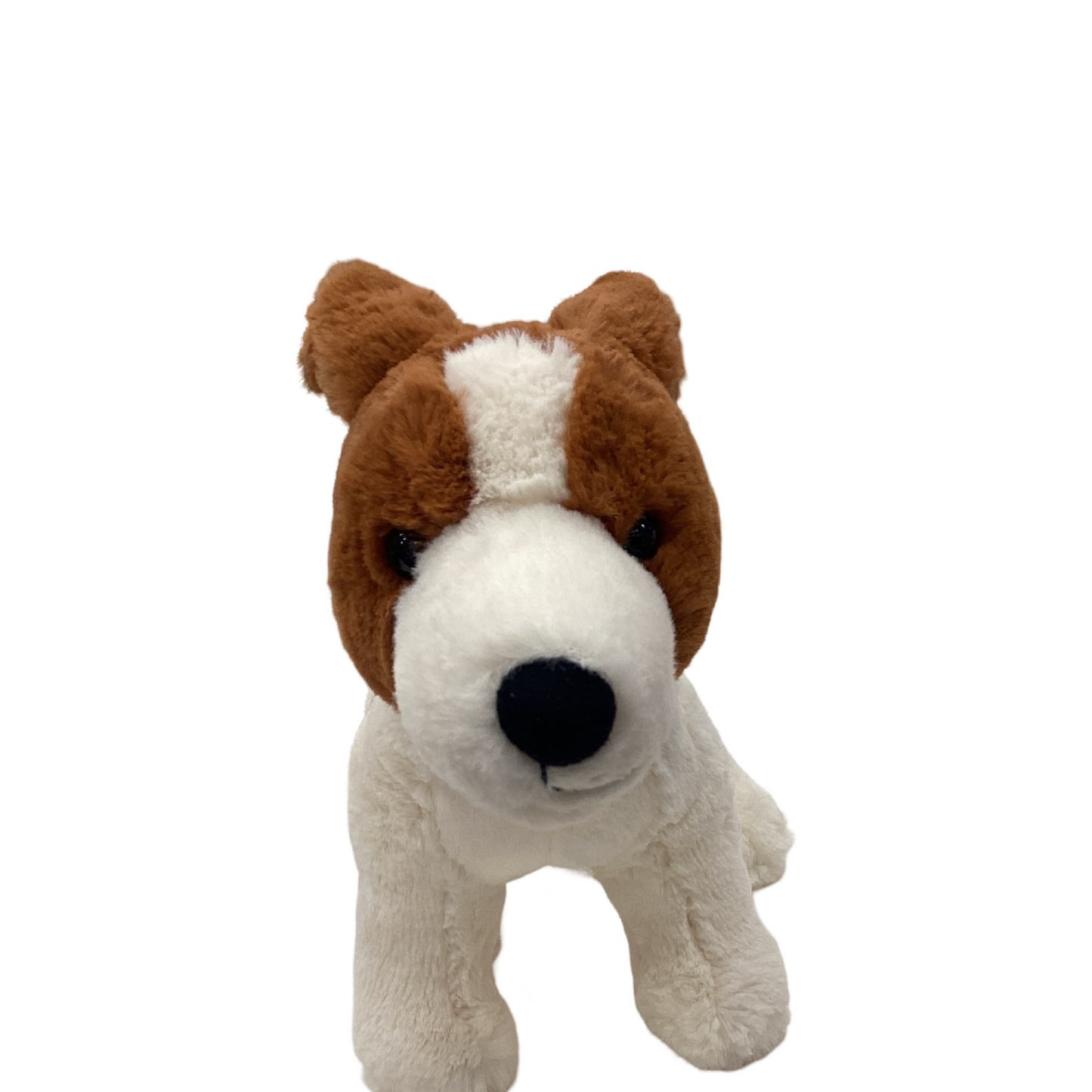 Jellycat - Albert Jack Russell