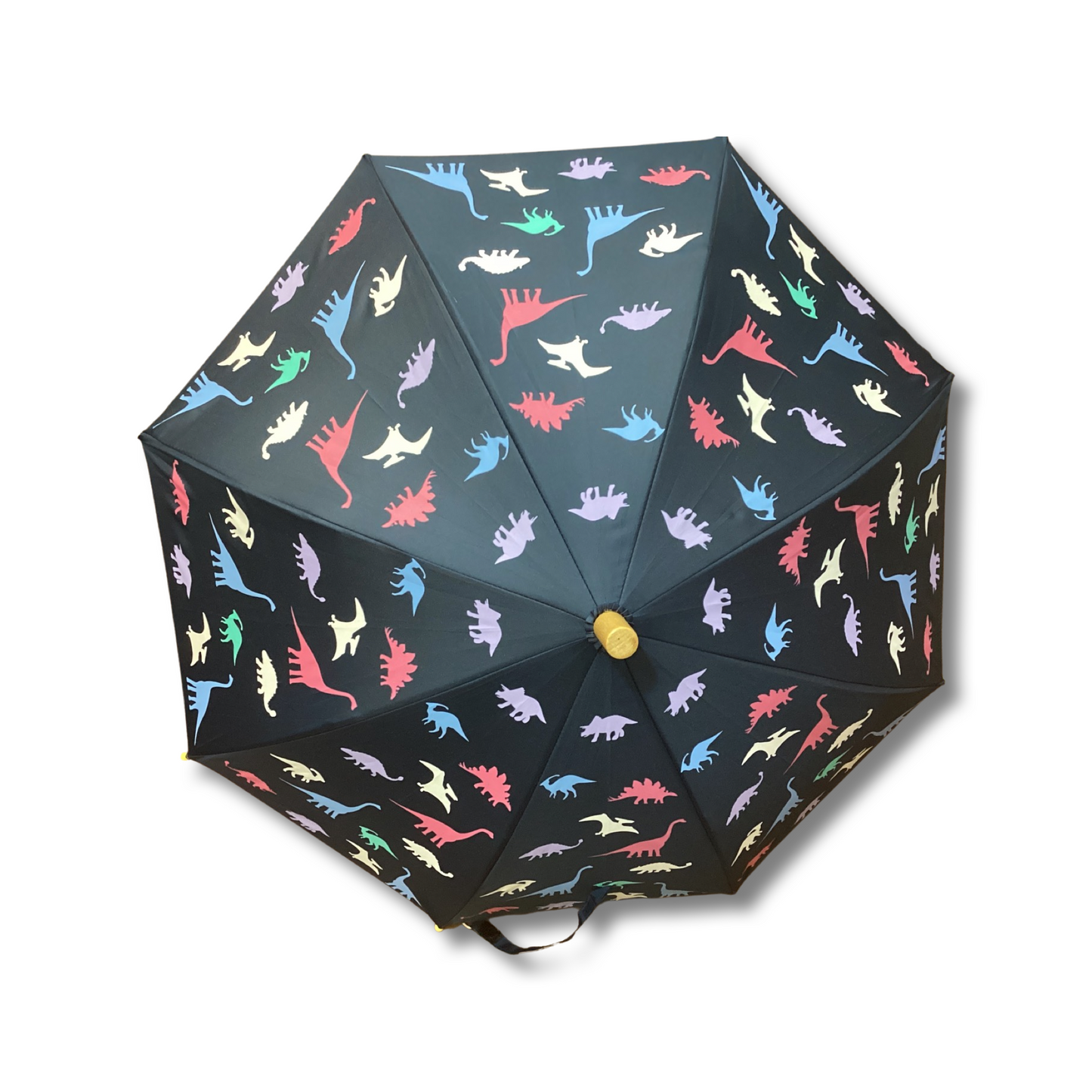Dinosaur Colour Change Umbrella